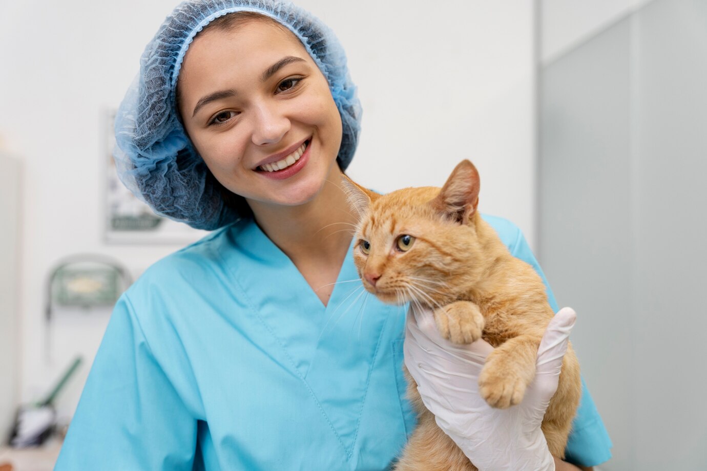 gato-consulta-pelayos-presa