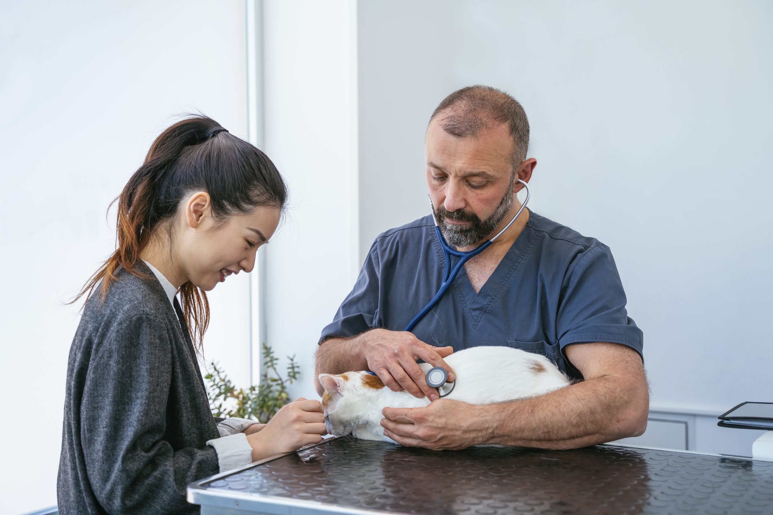 Un veterinario habla con la dueña de un gato 