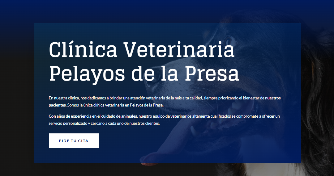 ¡Estrenamos nueva web en Clínica Veterinaria Pelayos de la Presa!